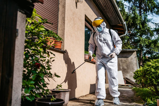 Wasp Removal Services in Union, OR