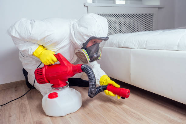 Best Flea Control Services  in Union, OR